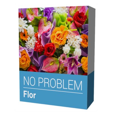 No Problem Software Flor